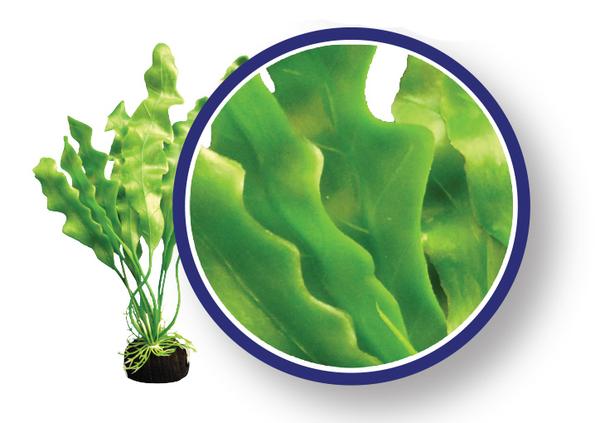 Amazon Ruffled Sword