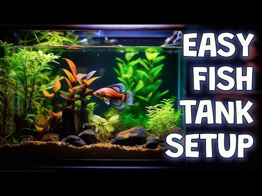 Low Maintenance Fish Aquarium 10 Gallon Tank