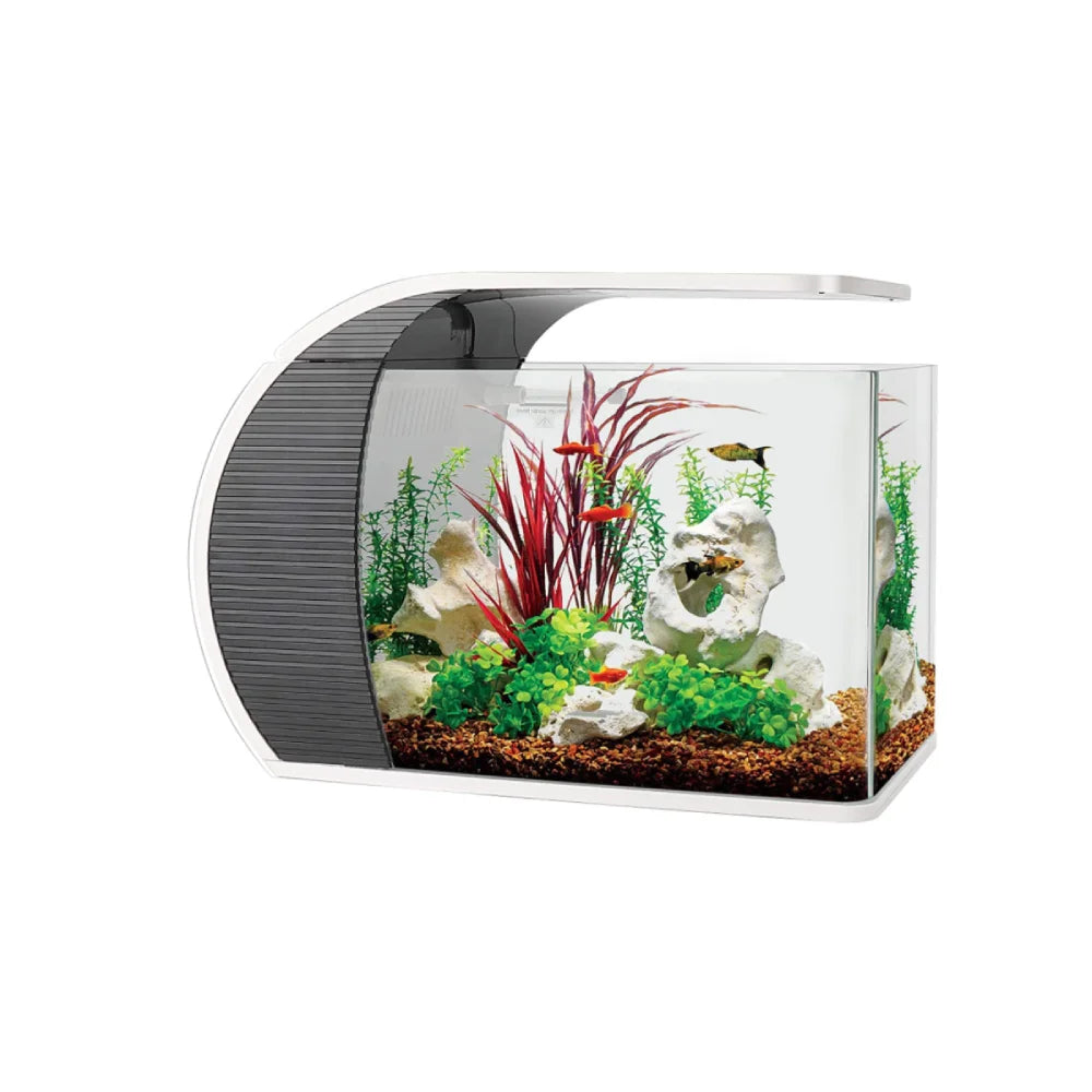 5 Gallon Fashion Tank (HG977)  AquariumFish.com