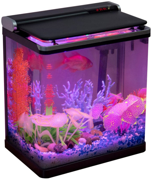 Beginners 4 Gallon Aquarium Set