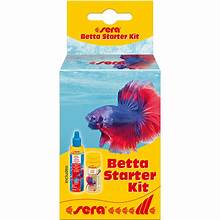 Betta Starter Kit